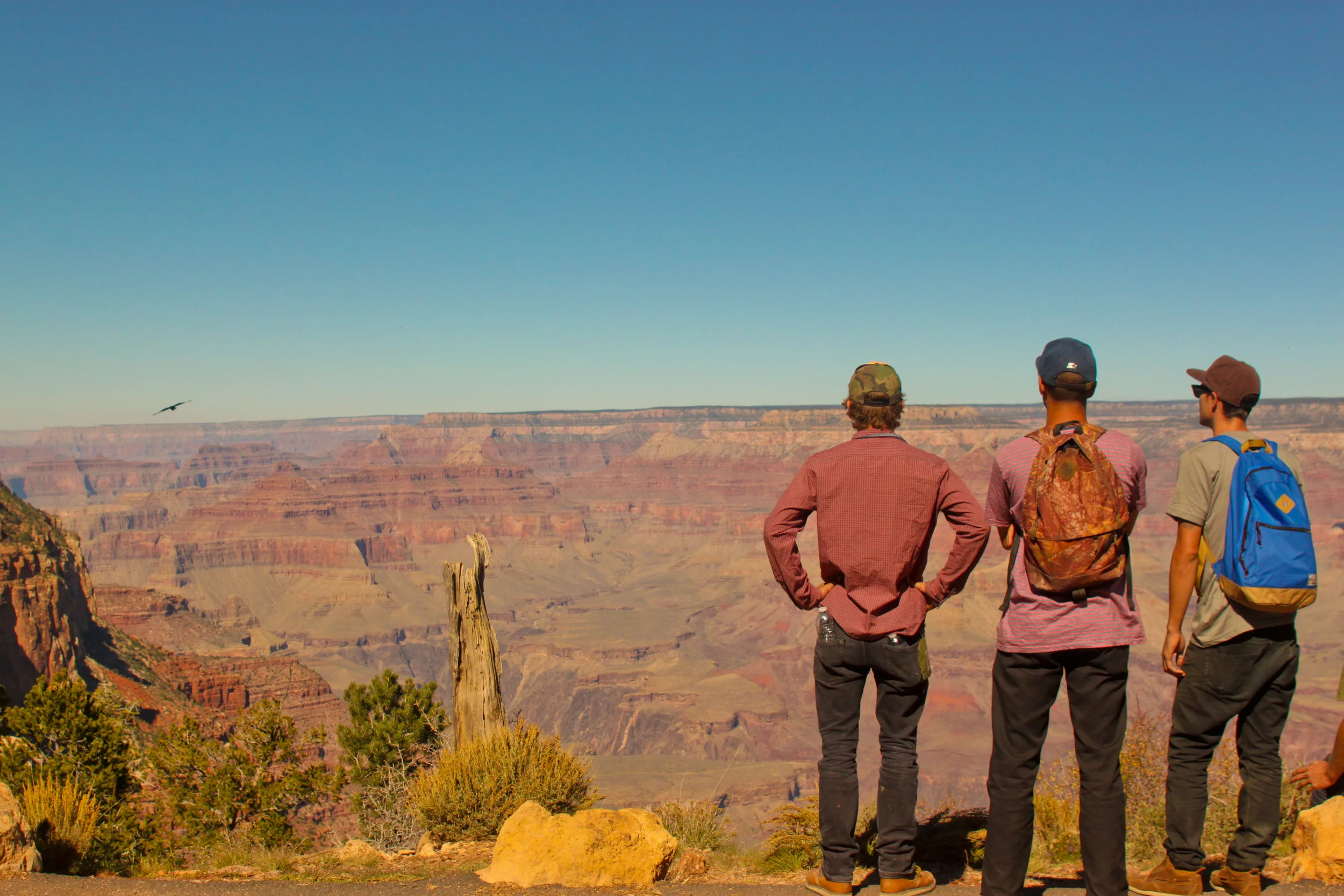 views-for-days_8147096654_o.jpg