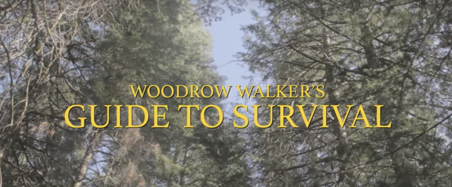 WOODROW WALKER - EPISODE 3