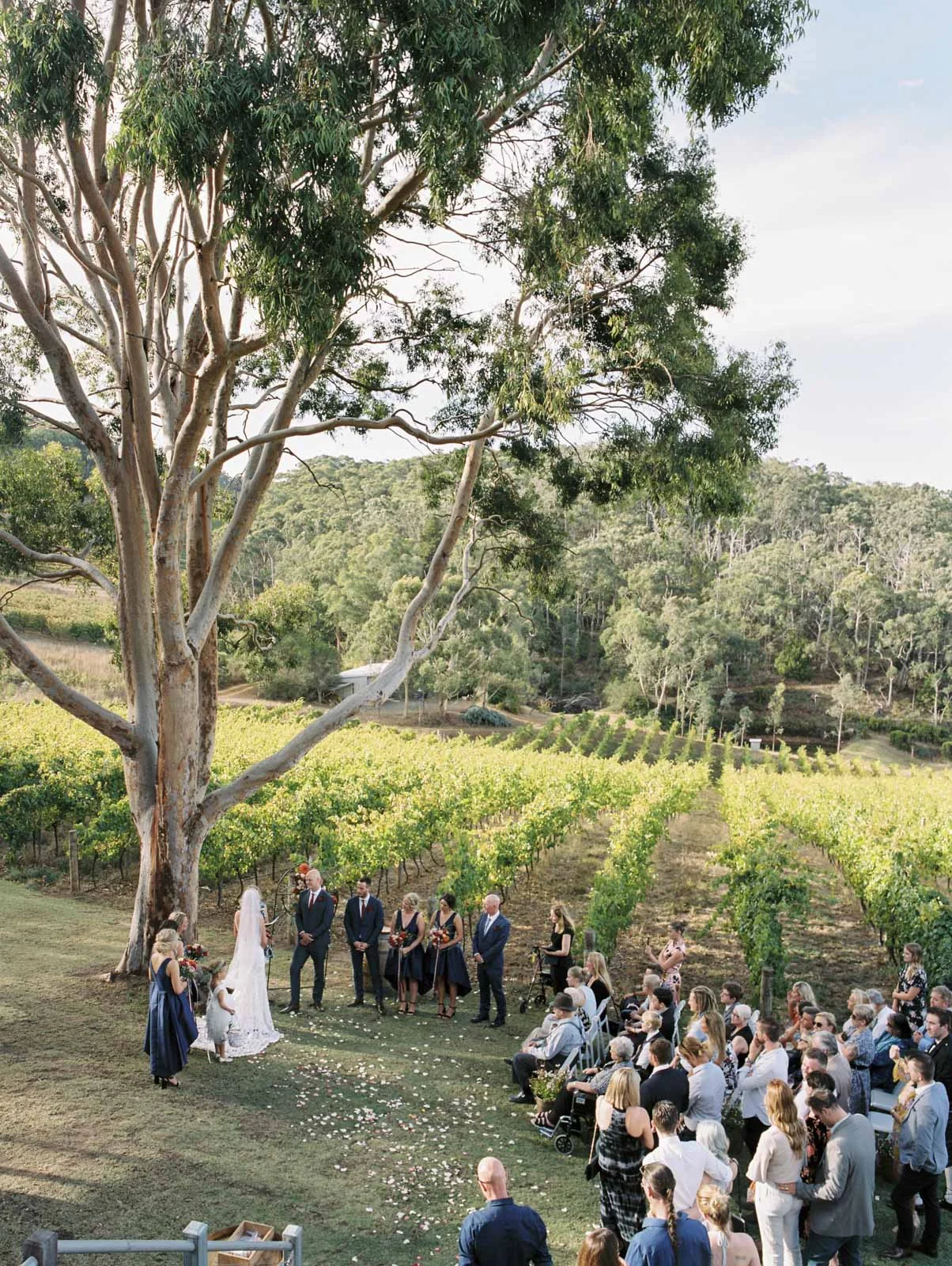 MOUNT-LOFTY-RANGES-VINEYARD-WEDDING_0029.jpg