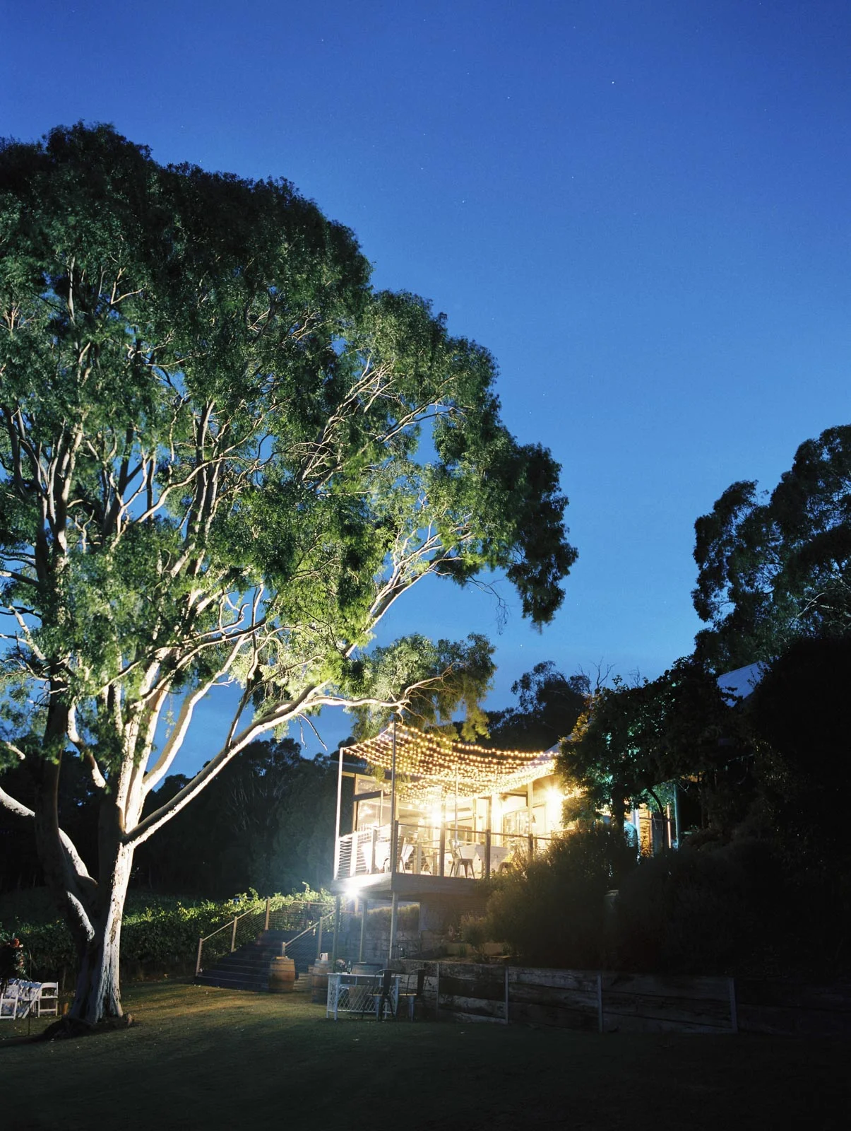 MOUNT-LOFTY-RANGES-VINEYARD-WEDDING_0054.jpg