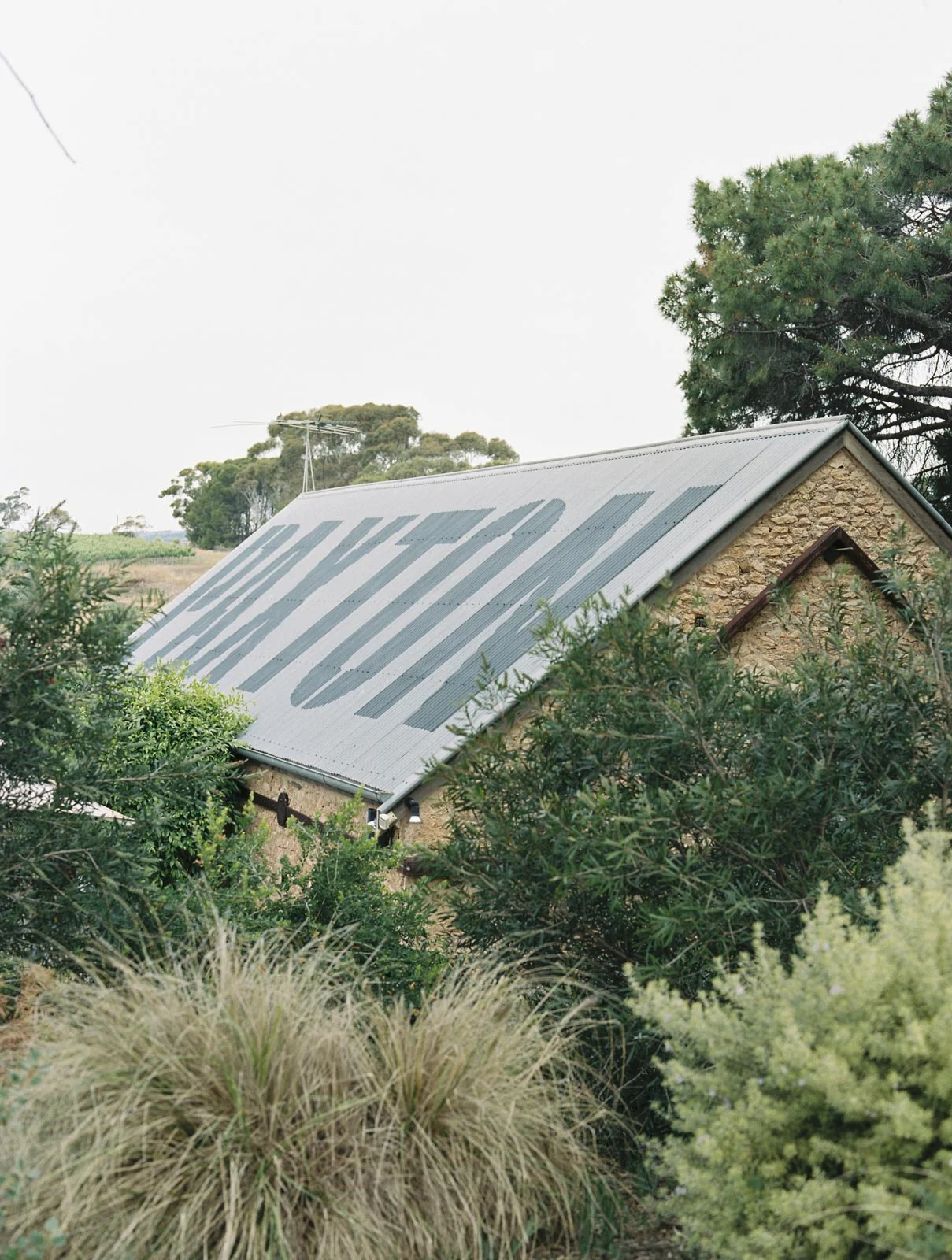 PAXTON-WINERY-MCLAREN-VALE-WEDDING_0053.jpg