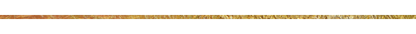 gold-bar-600x50.png