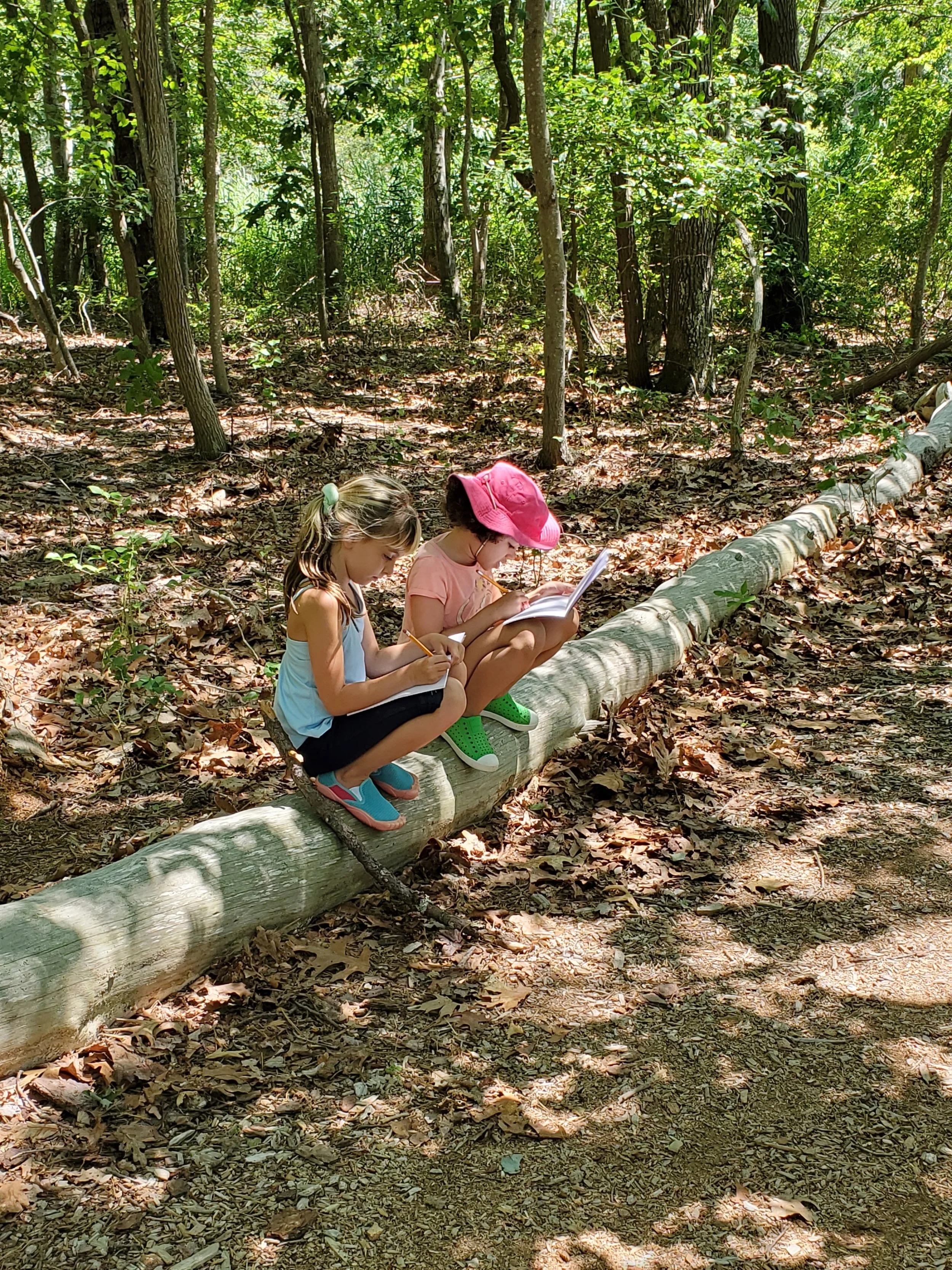 Journaling on a Log.jpg