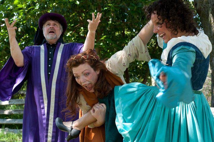 2010 – taming of the shrew
