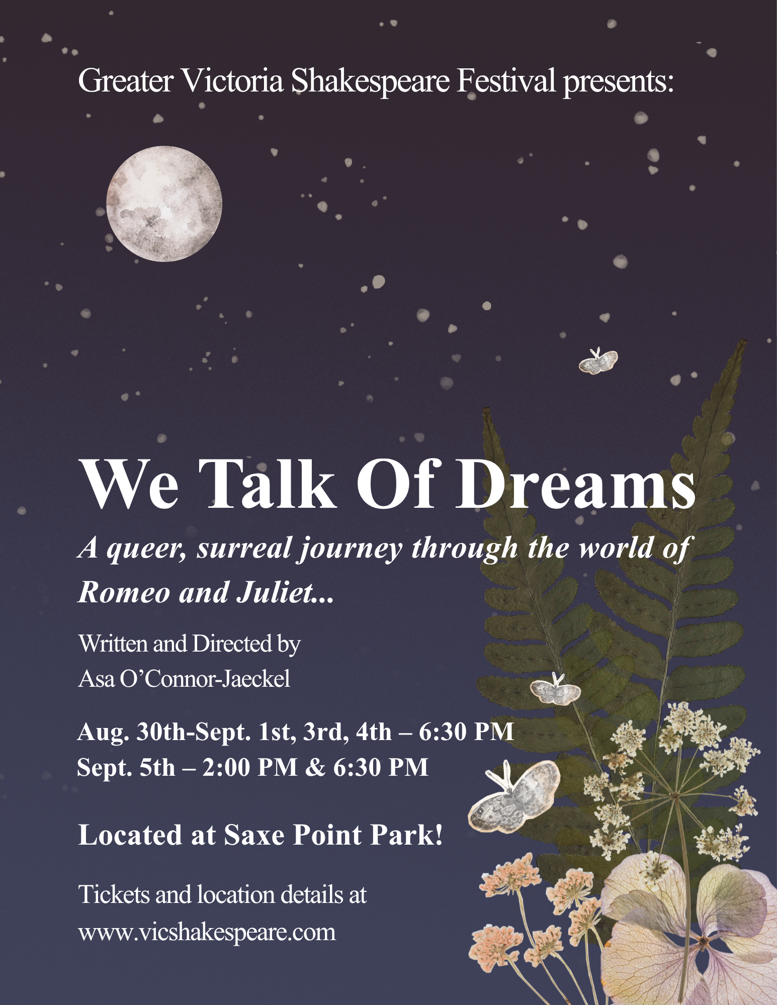 WE TALK OF DREAMS Poster.png