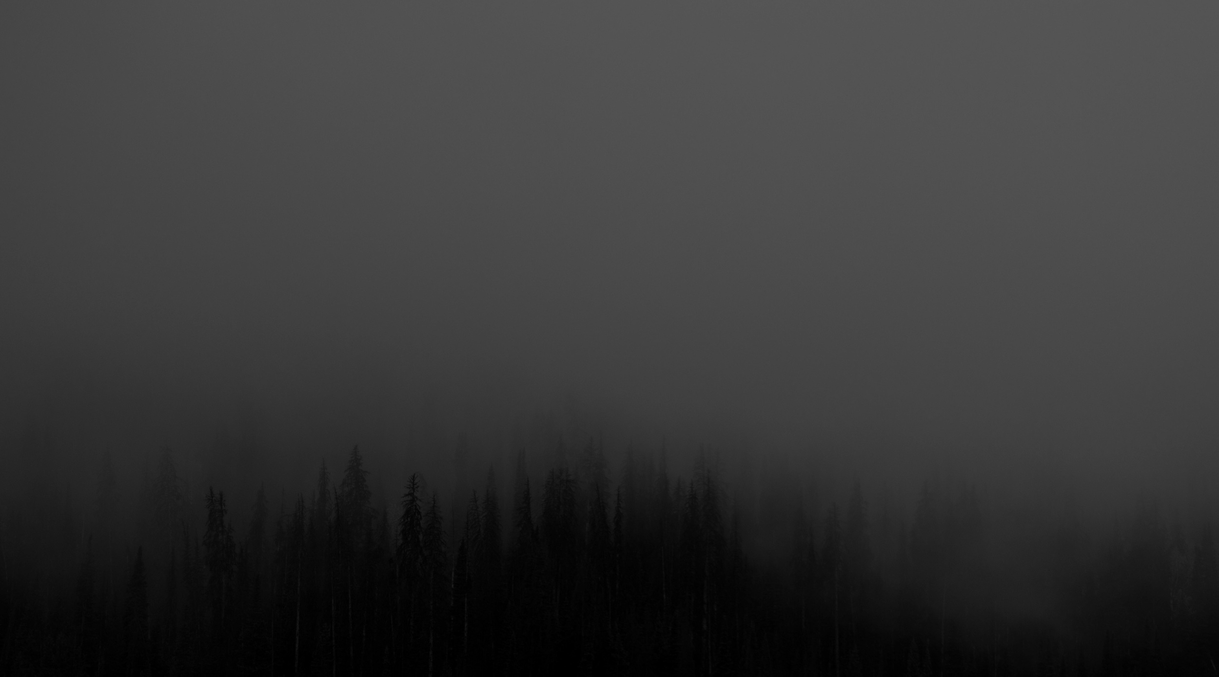 treeline.jpg