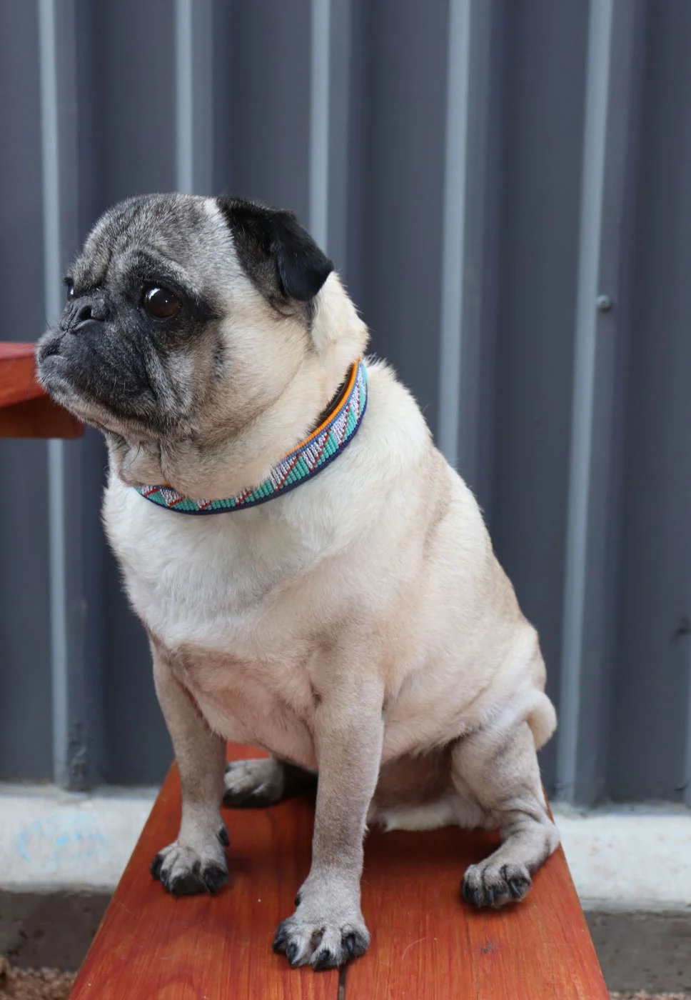 CaliGirlCreative_UbuntuMade_DogCollar3.jpg