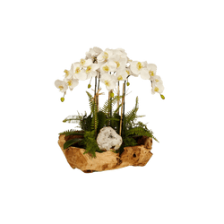 white orchid coastal arrangement faux shell moss calling it home.png