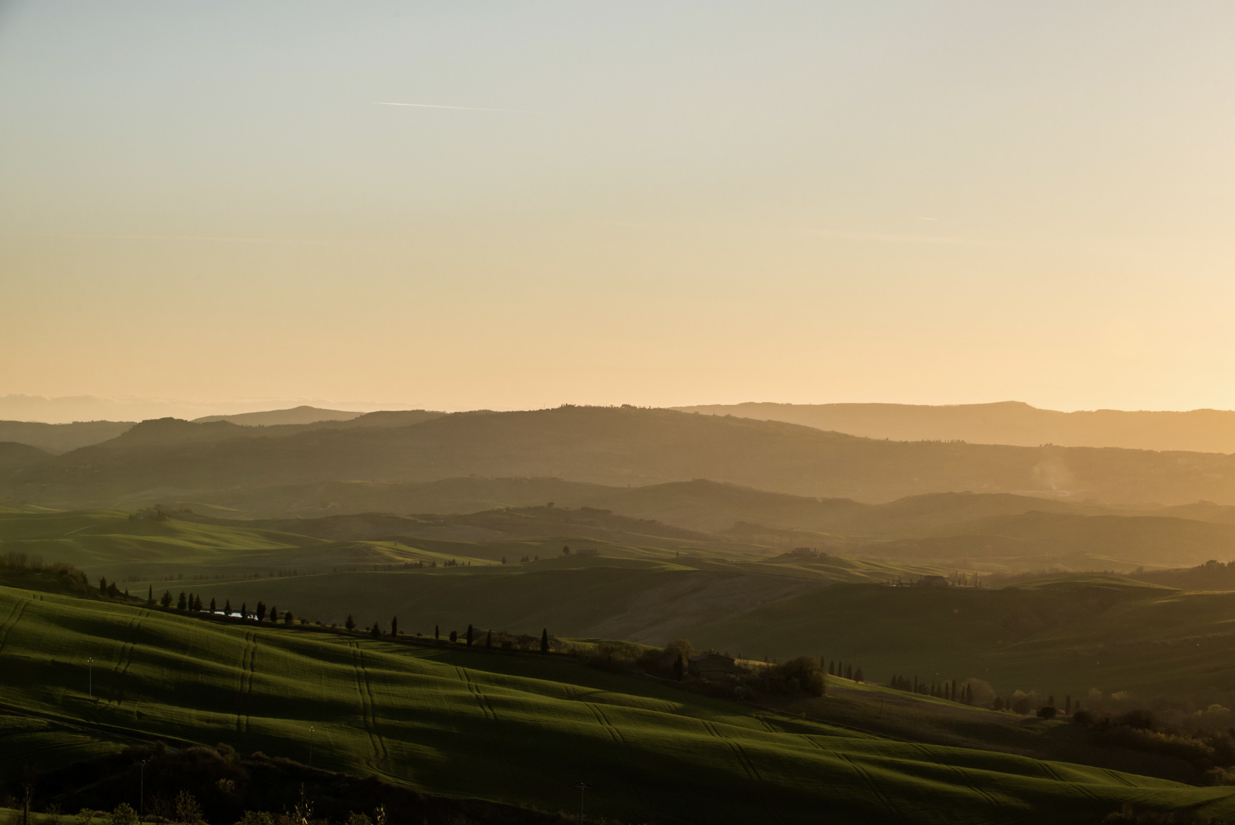 Screen Shot 2023-06-18 at 2.46.35 PM.png