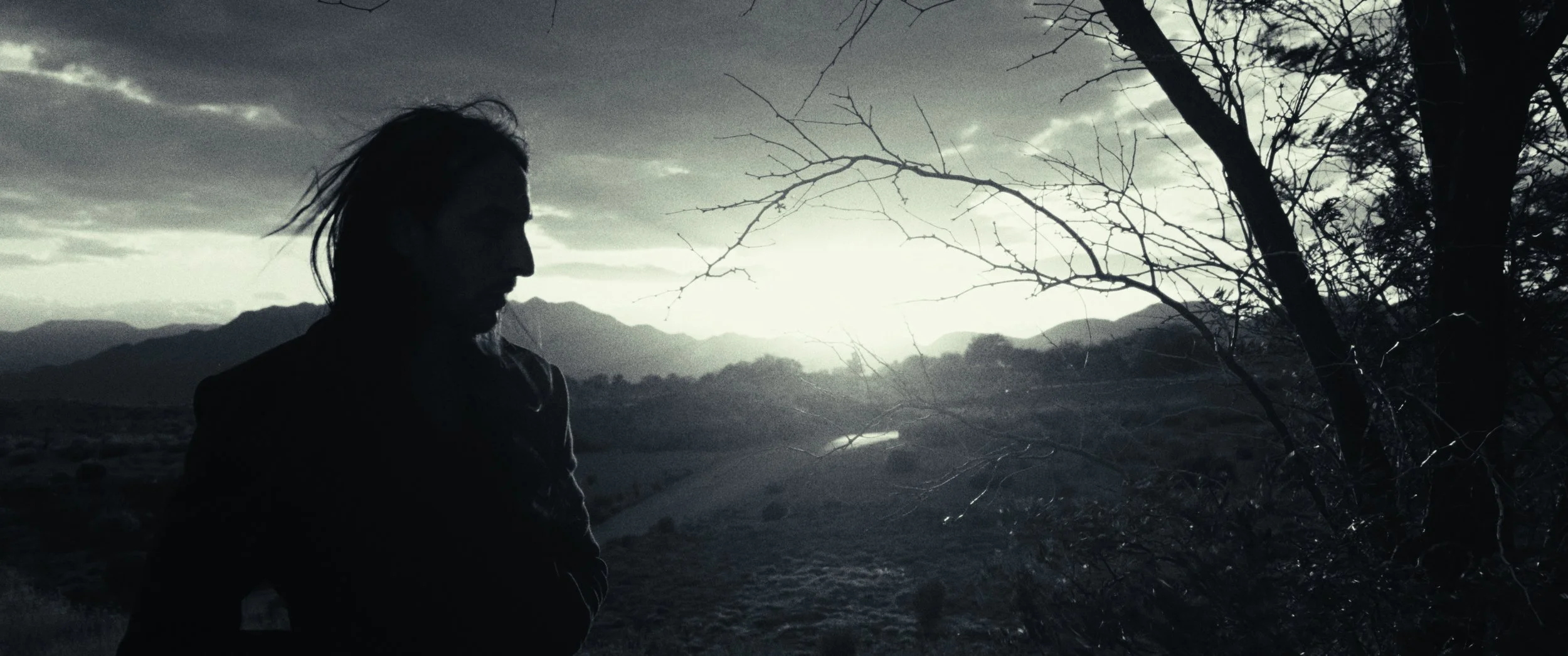 Still 2026-01-25 151126_1.12.1.jpg