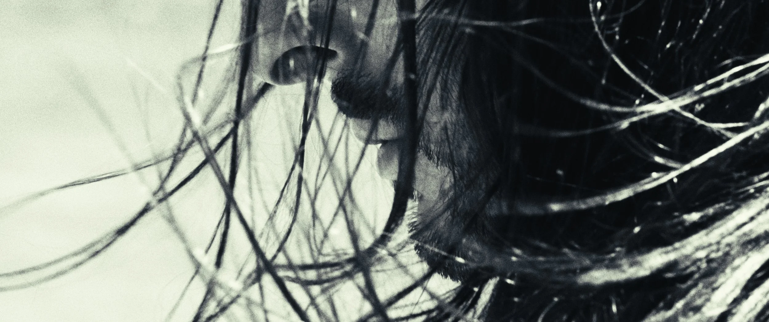 Still 2026-01-25 151126_1.48.1.jpg