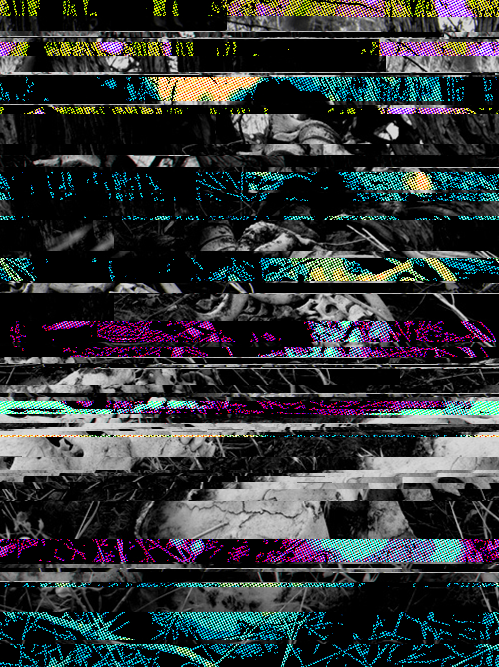 ḆƟṈĒṜ.png