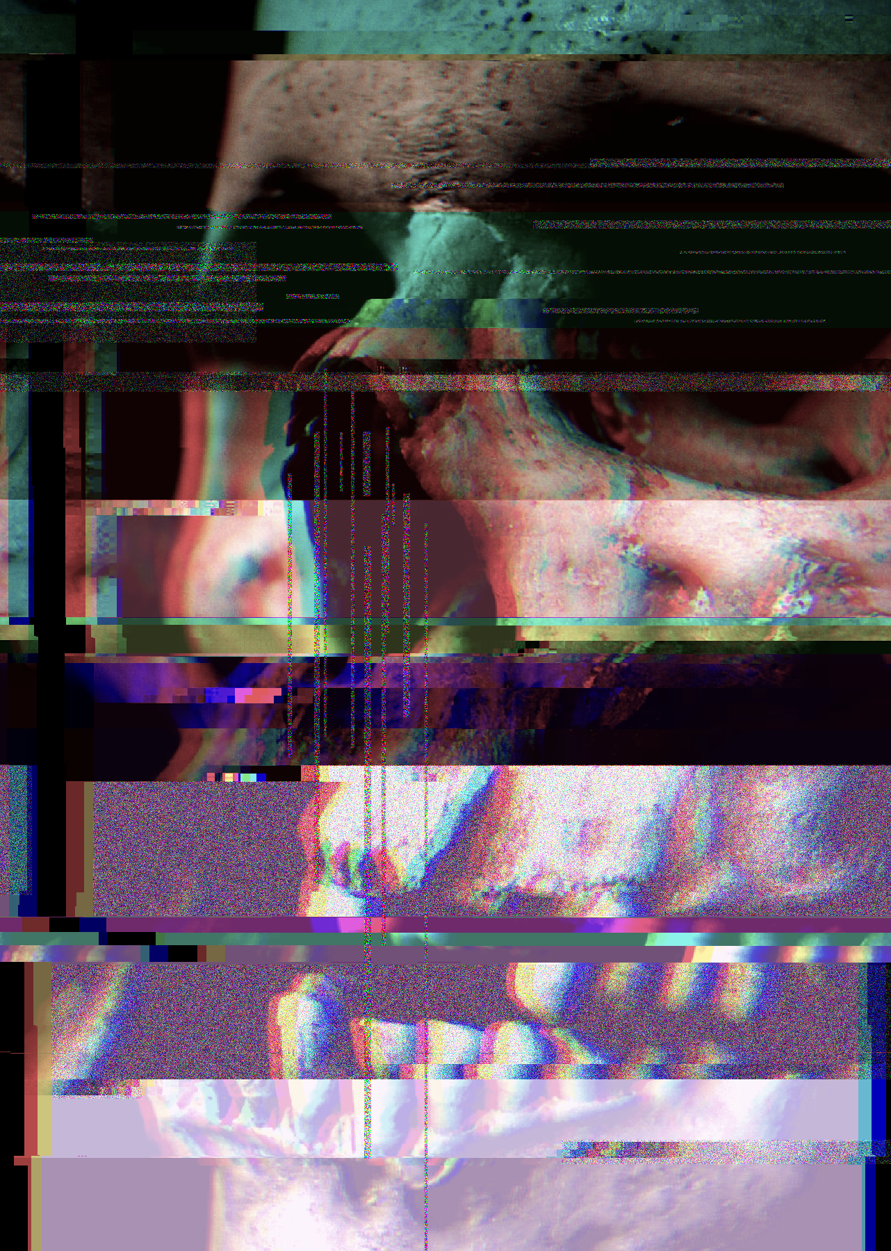 ṨḰṺḸŁ.png