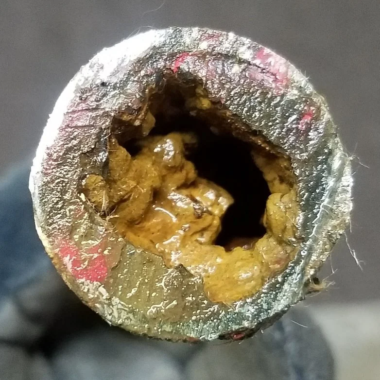 sewer line CLOGGED BY grease.