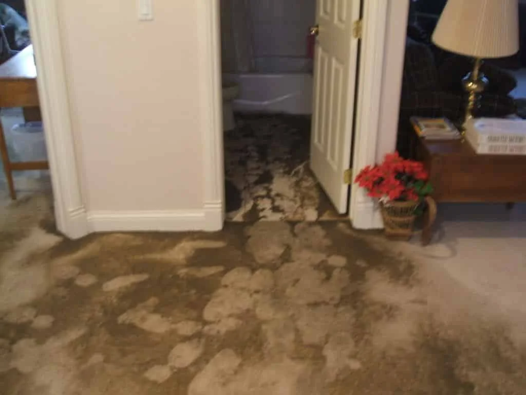 sewer-backed-up.jpg