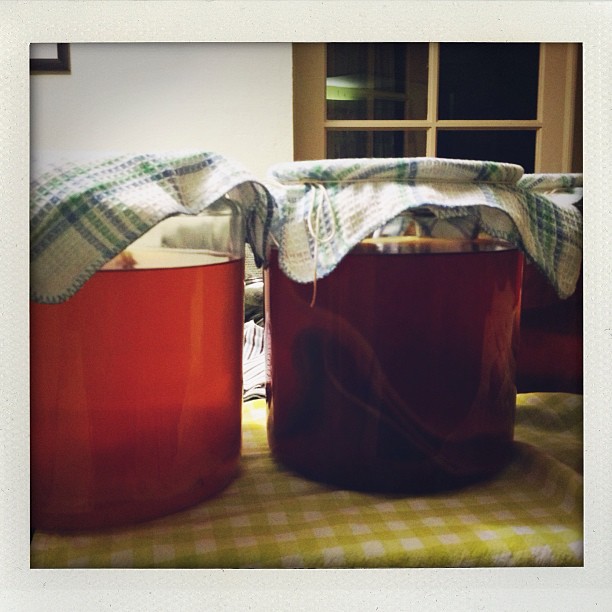 Chris' homebrew kombucha circa 2012-2013