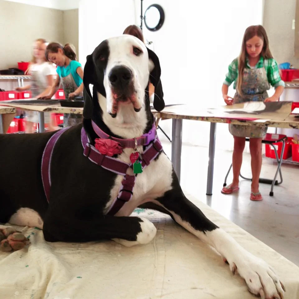 Summer: Drawing and Painting Animals – Ages 6 – 9