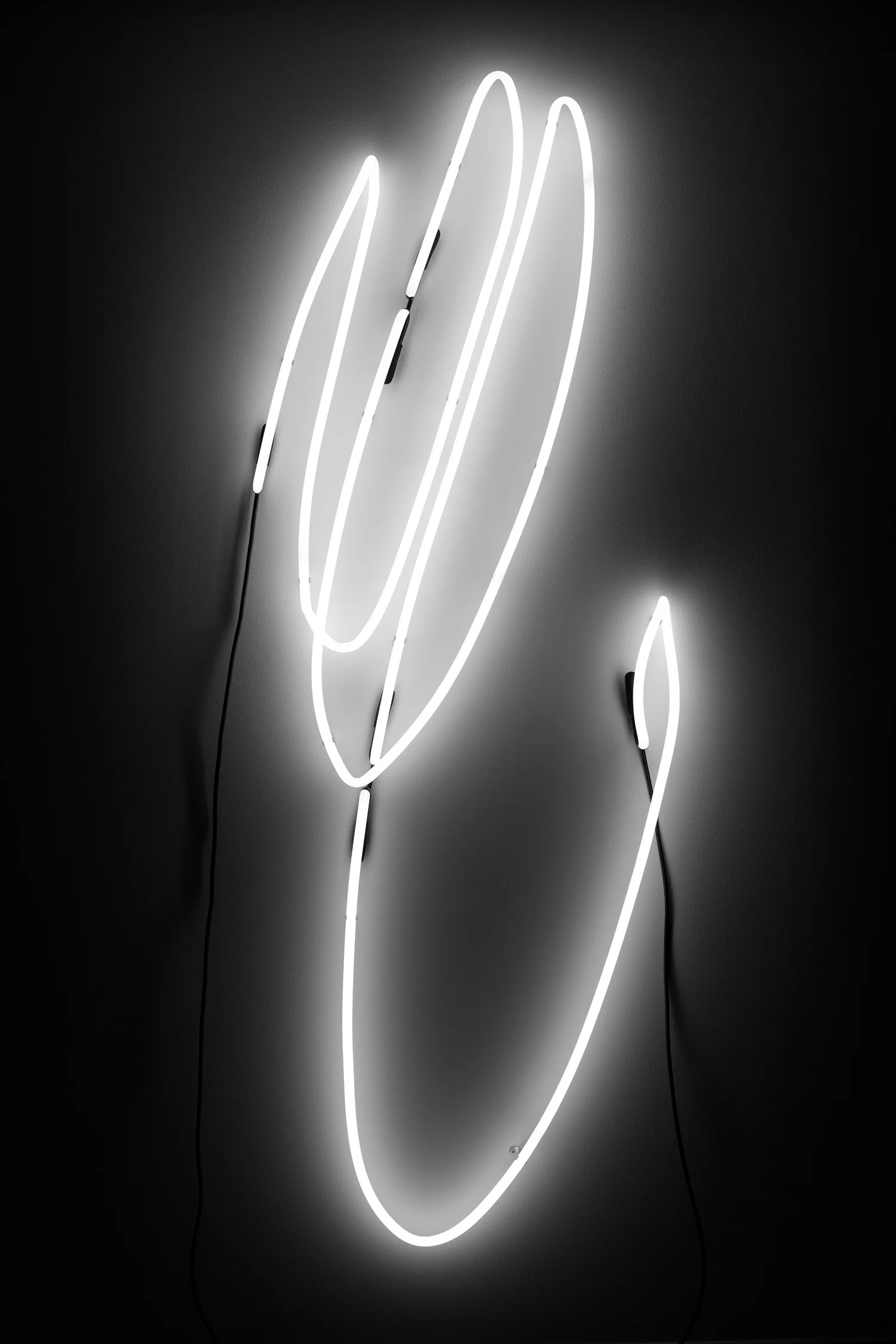 The Siren