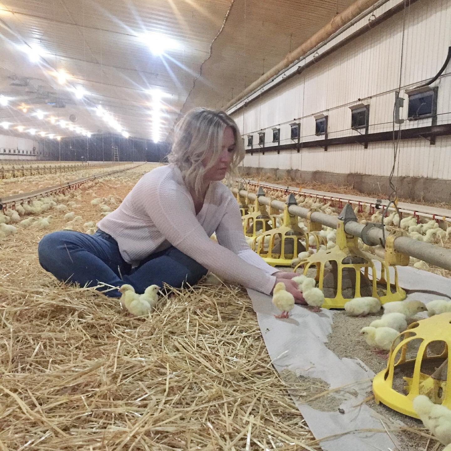 We deserve to know where our food comes from! We are 1 of 68 broiler chicken farms in Saskatchewan.  We work hard to provide some of the best quality chicken for our communities that is as fresh as possible as well as affordable. 

I&rsquo;m offering