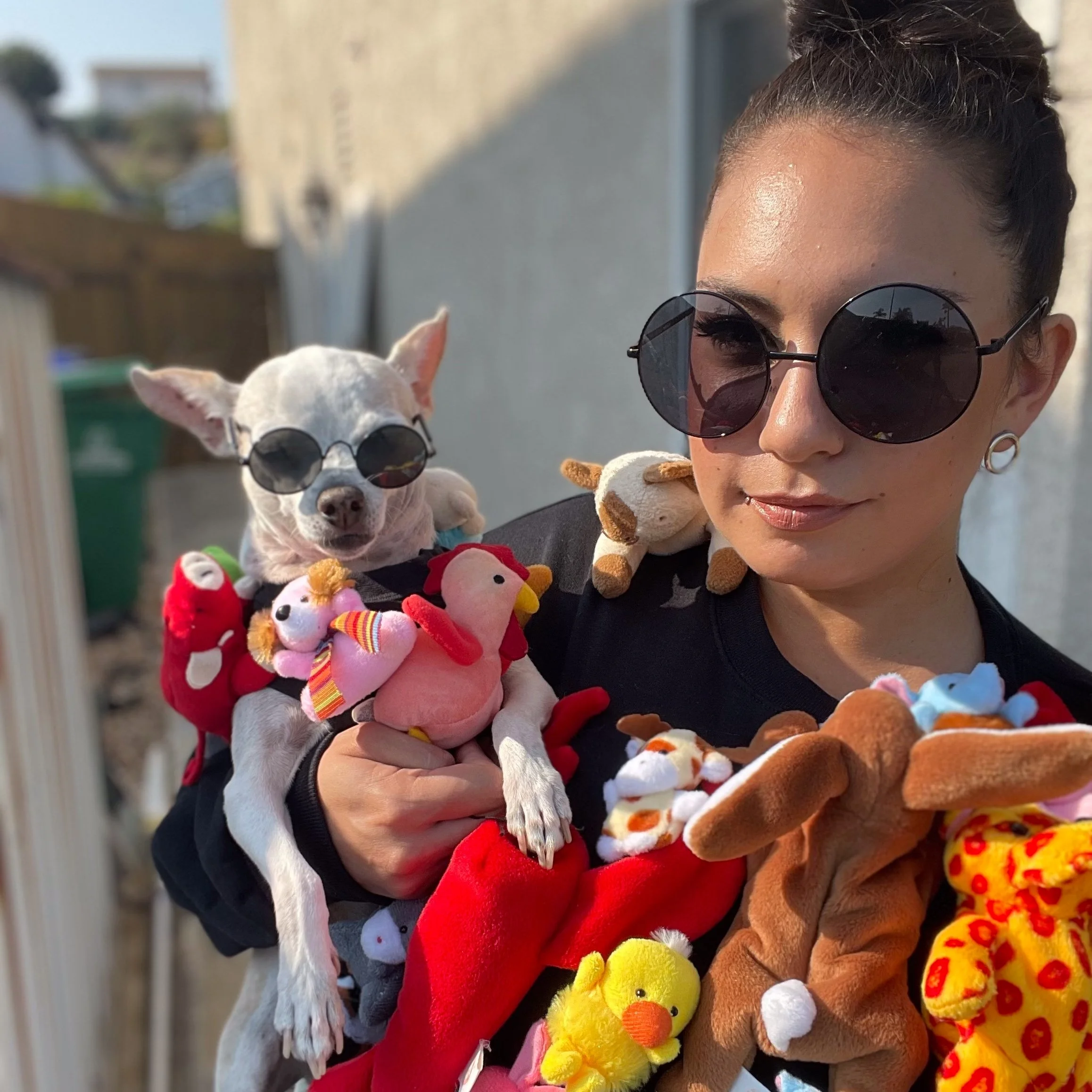 DIY LV Puppet Sweater