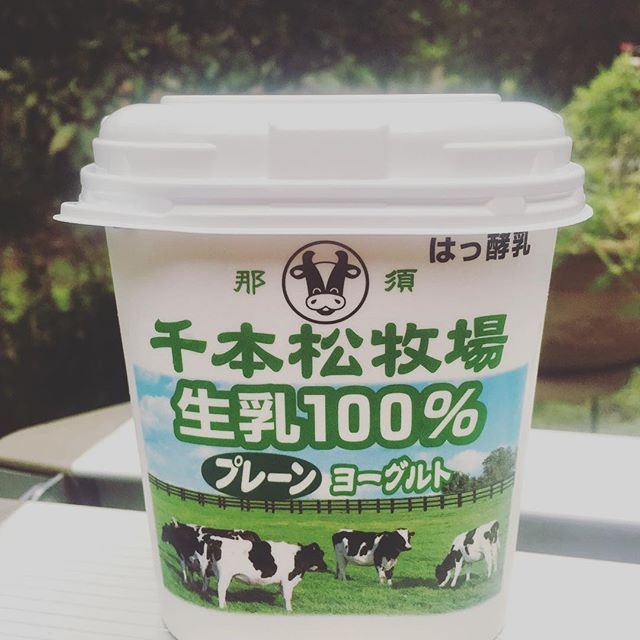 Yogurt made by 100% raw milk and sold in a regular grocery store.  Am envious of my folks in Nasu, Japan. #mypath_masako