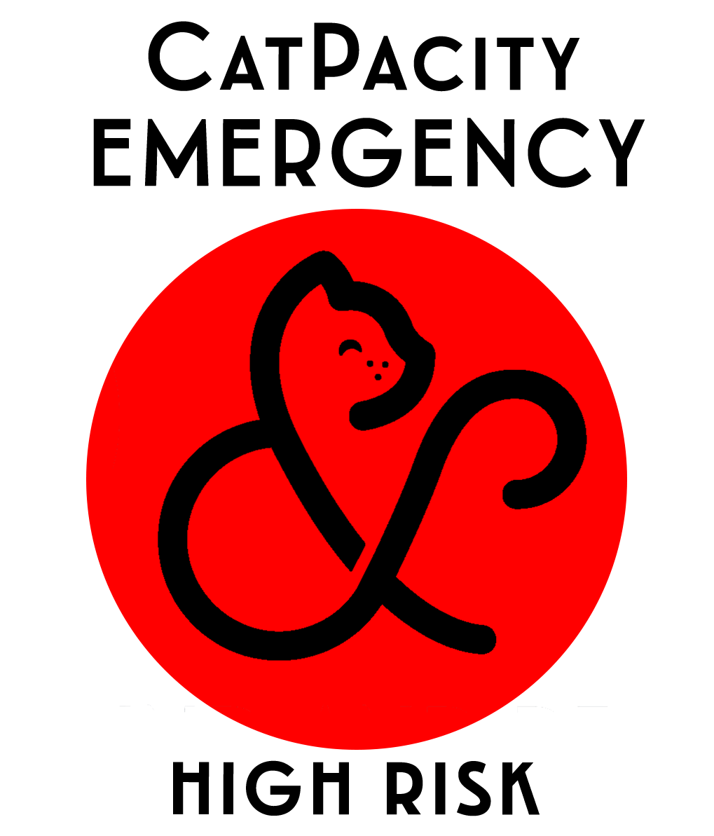 Catpacity Emerg.png