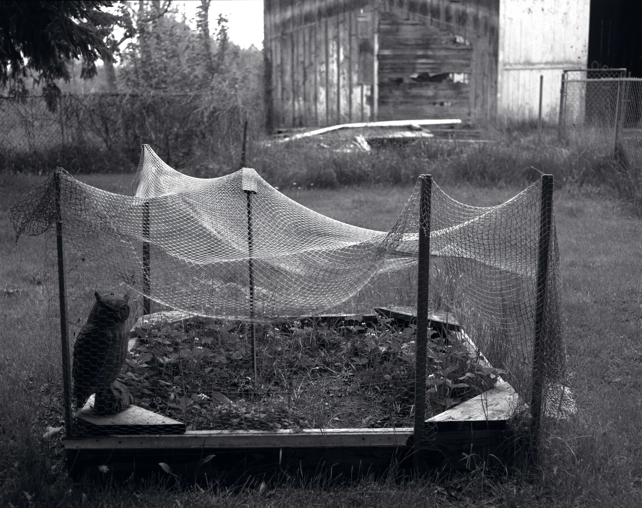 Sandbox Garden