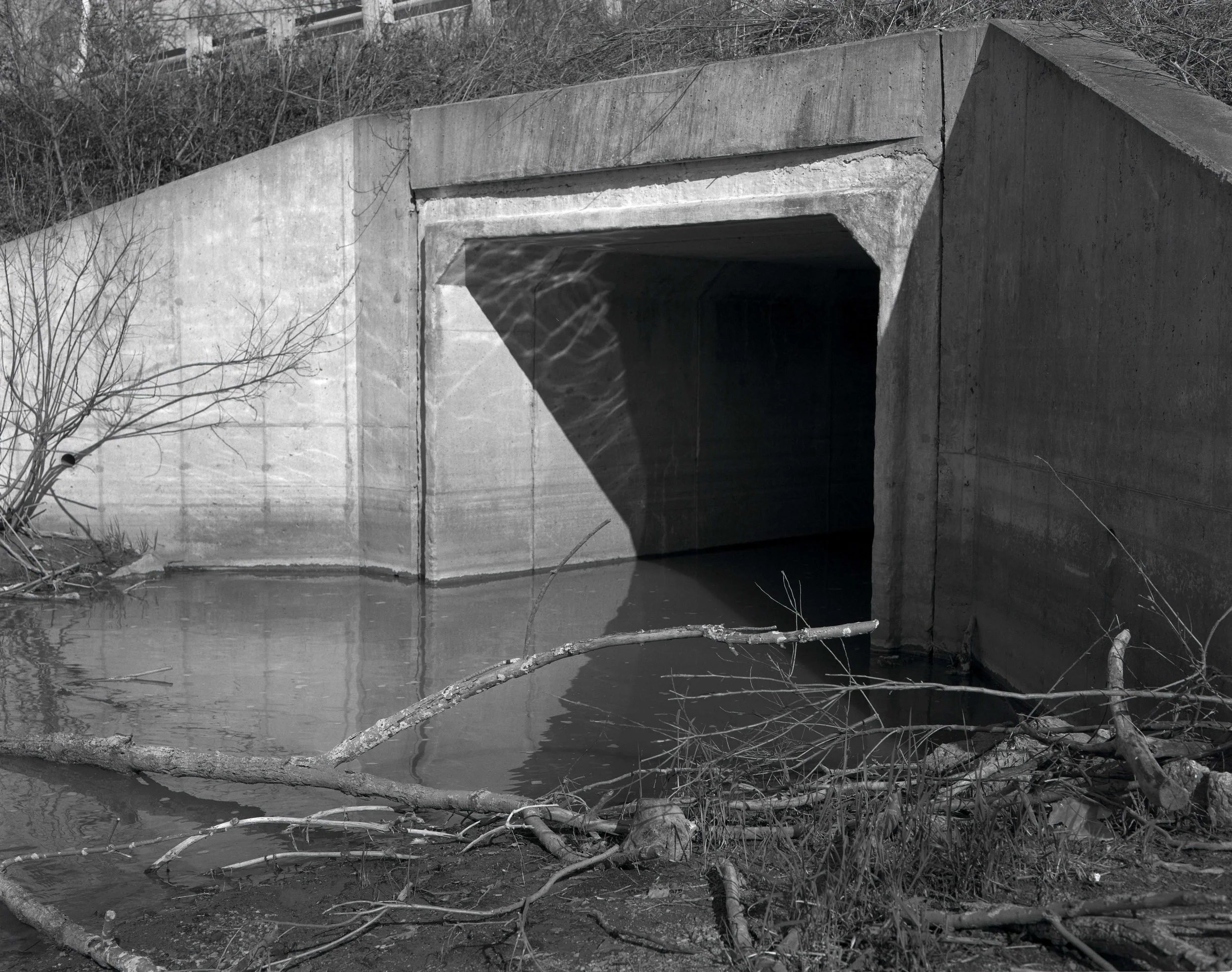 Silver Gelatin Print