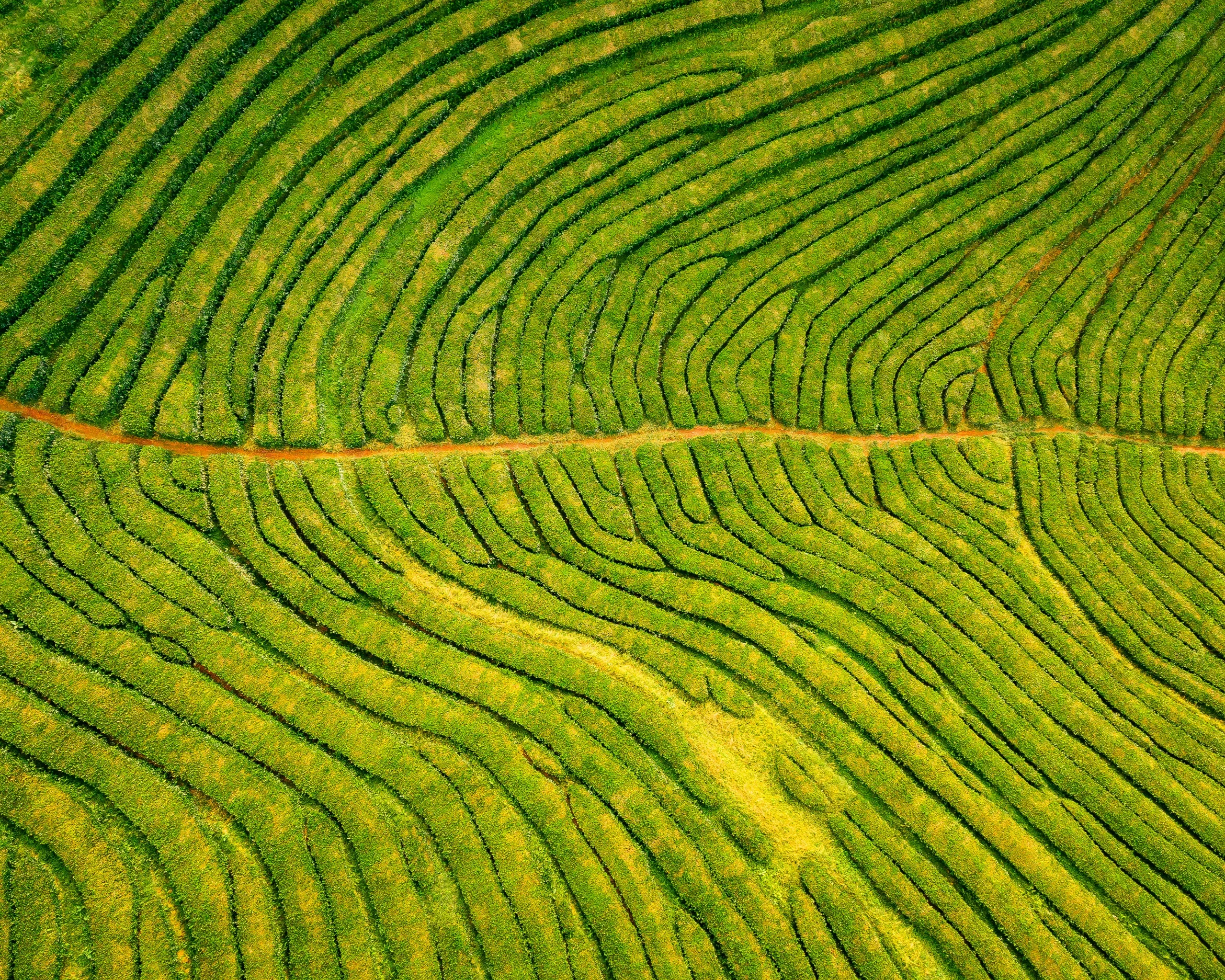 Linked in a Common Brotherhood, April 4 