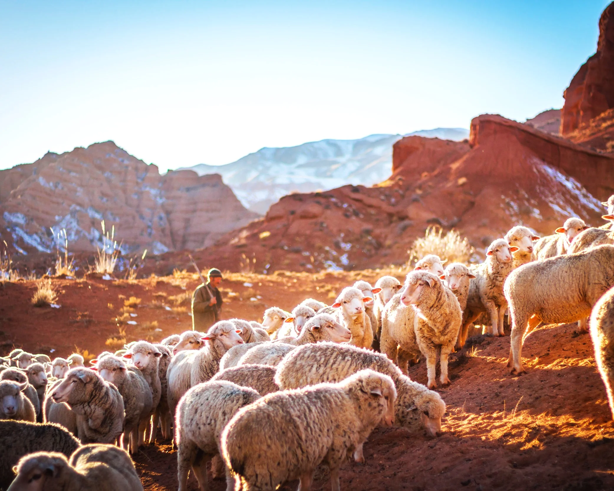 One Plan for All Time, April 5 