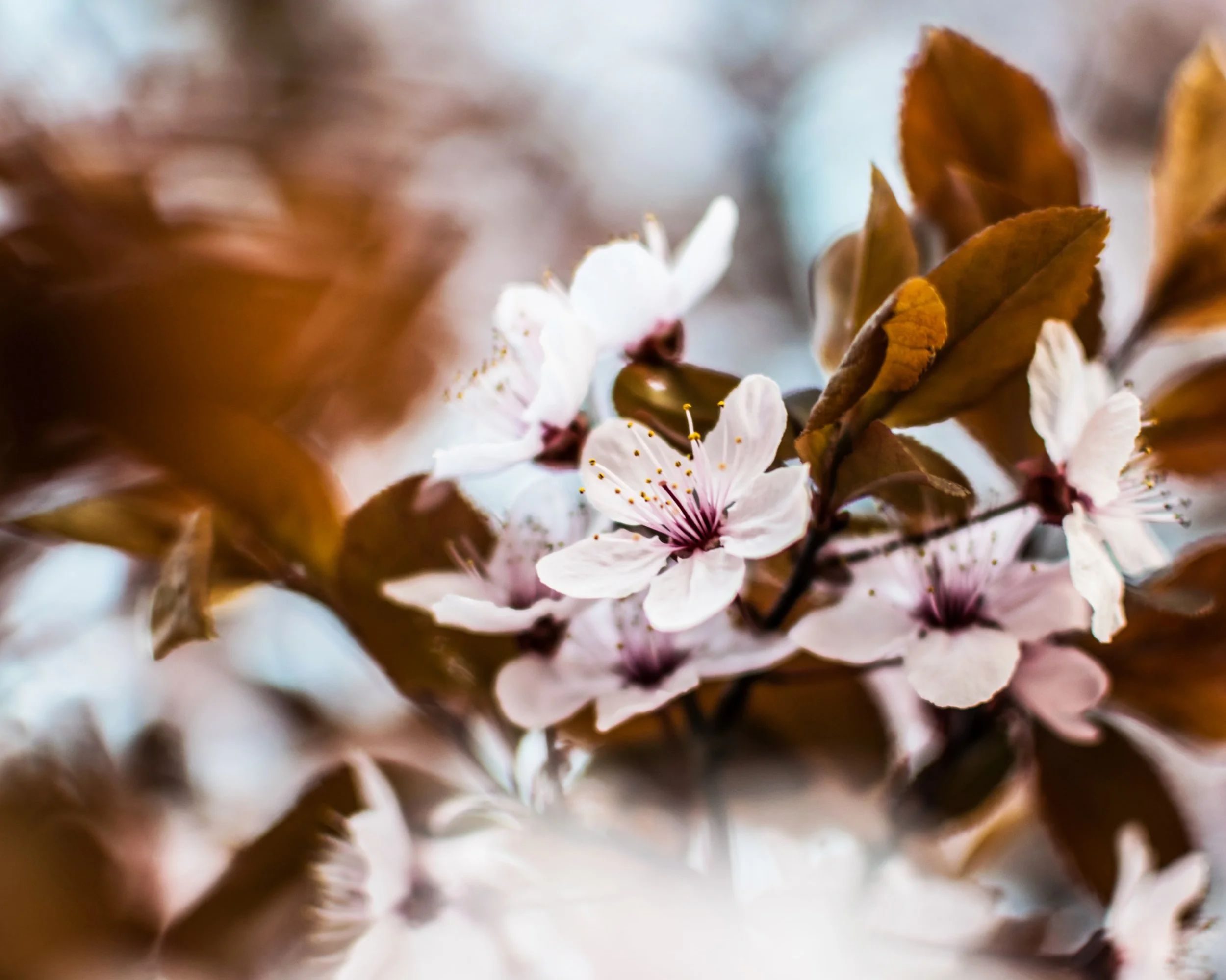 One Family in Christ, April 7