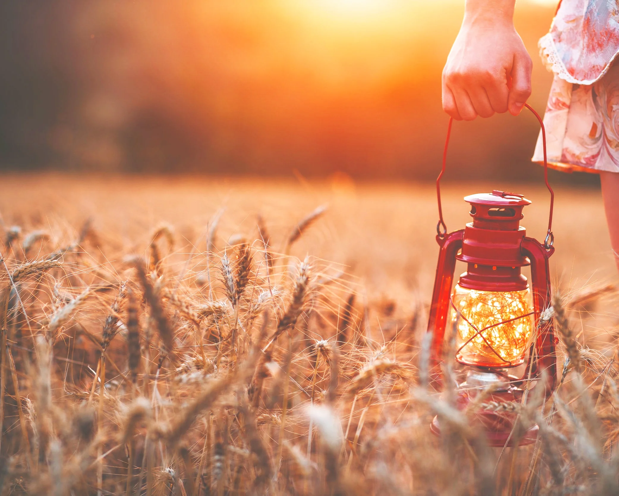 Go Ye Out to Meet Him Pt.5