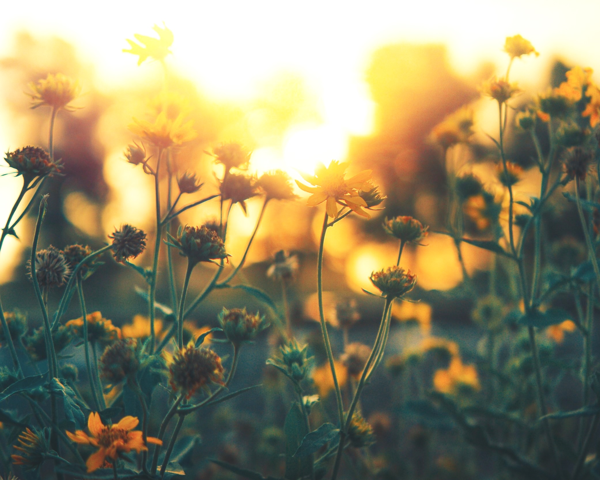 The Grace of Humility, April 26