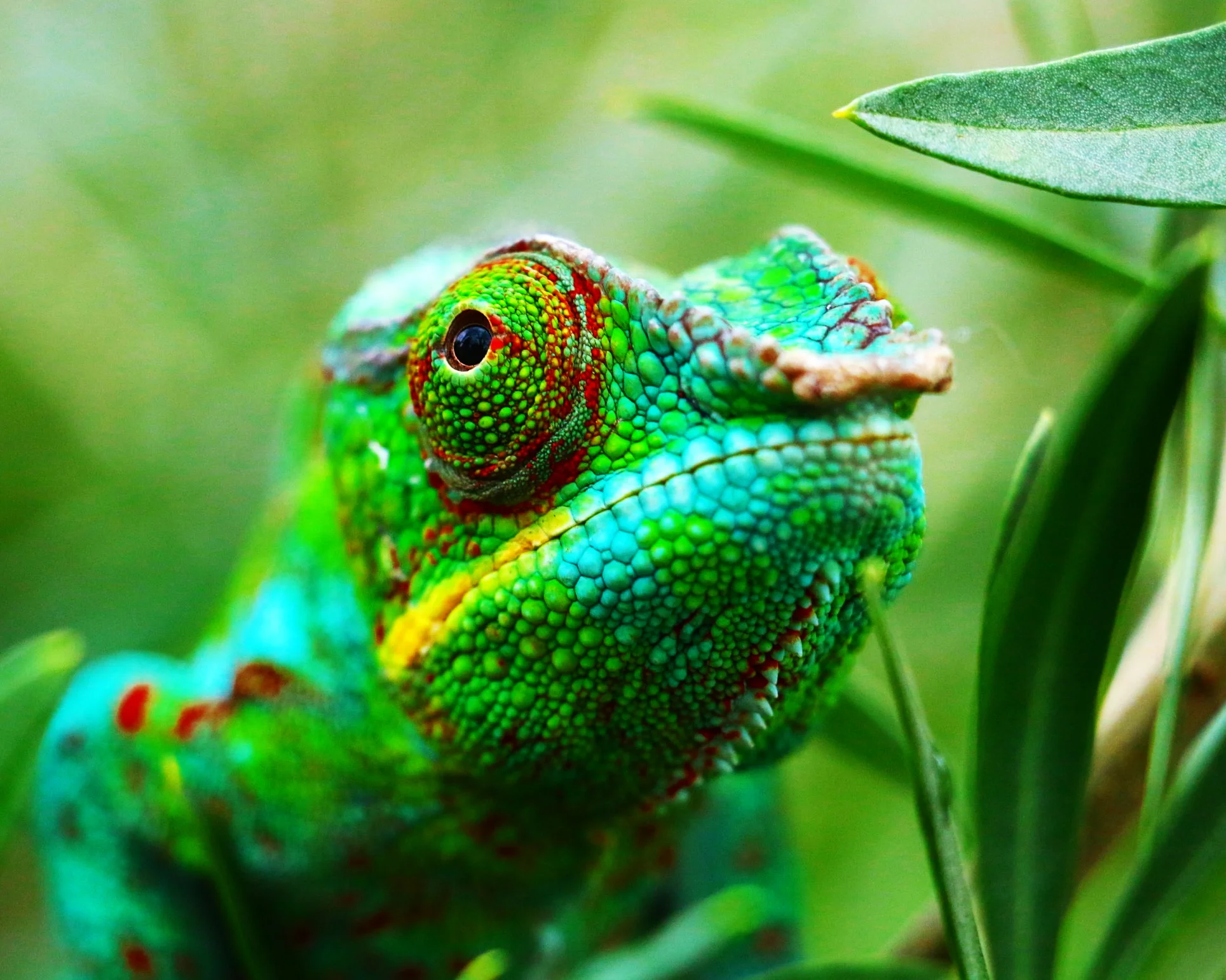 Live Up to Your Profession, May 2