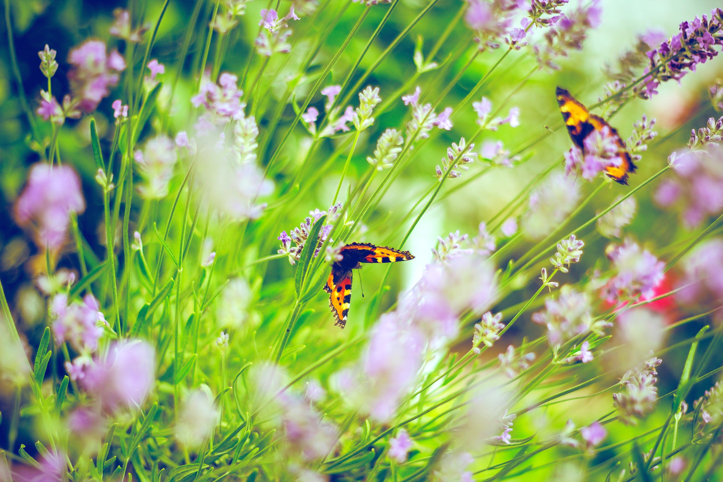 A Holy Listener, May 12