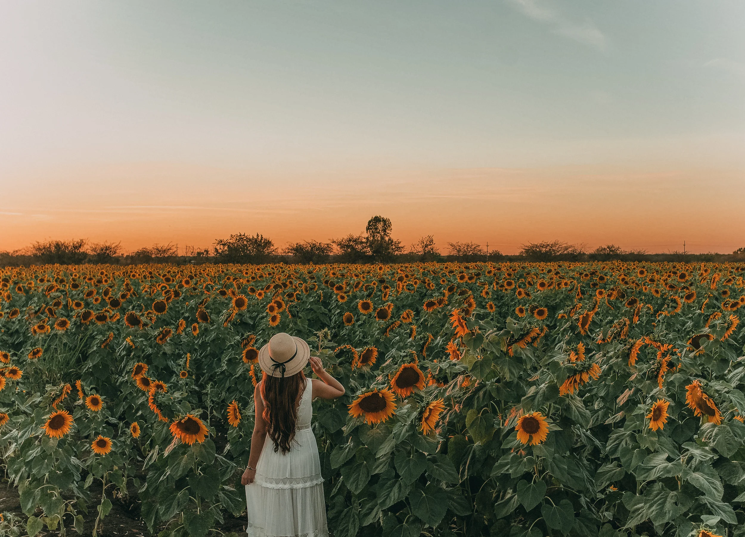 All Who Are Weary of Sin Are Urged to Enroll, March 1