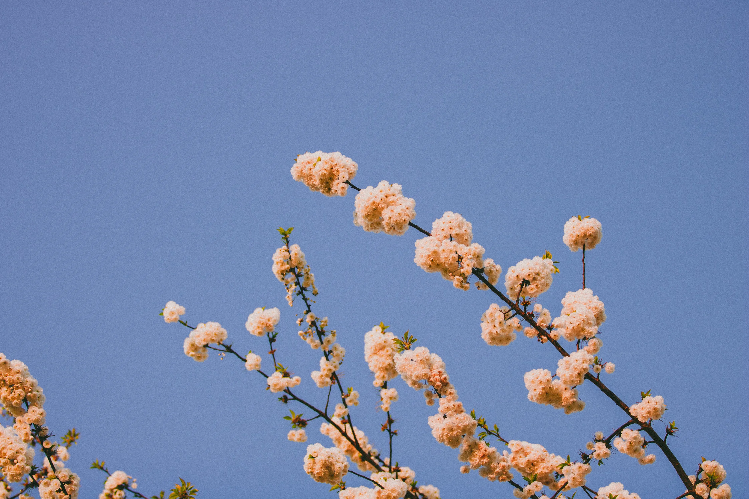 He Was Obedient and Respectful, May 3