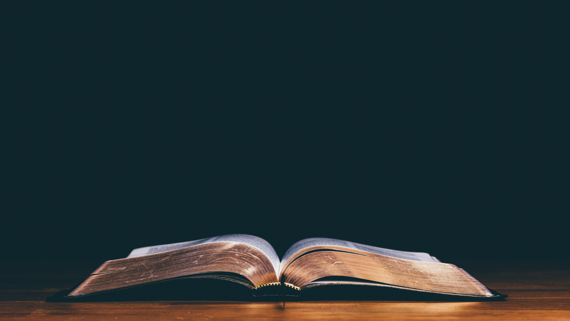Biblia sitio web sermones.png