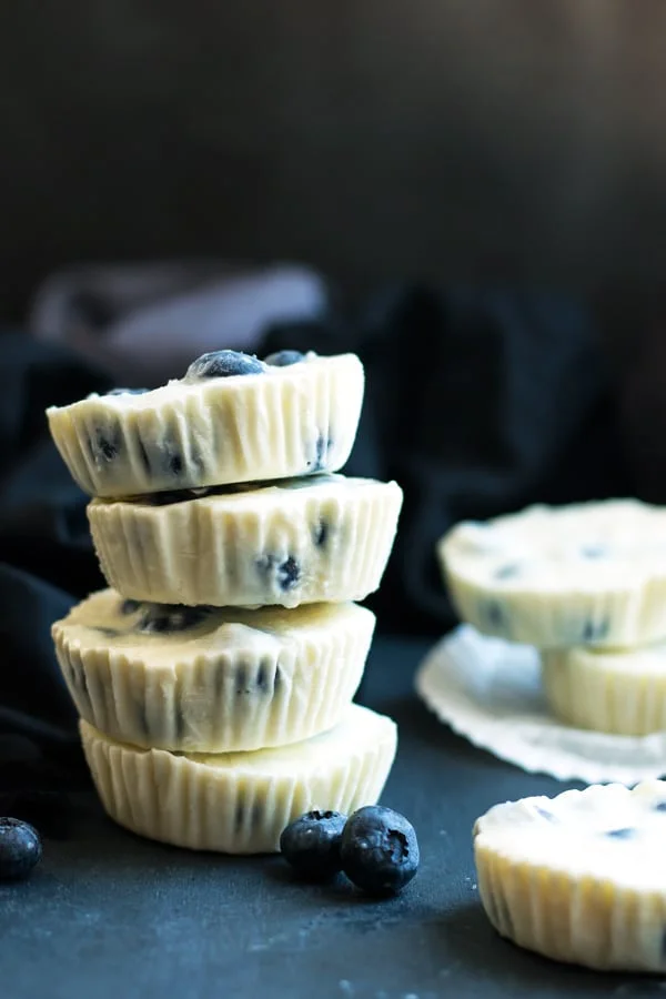 Lemon-Blueberry-Greek-Yogurt-Bites-3.jpg