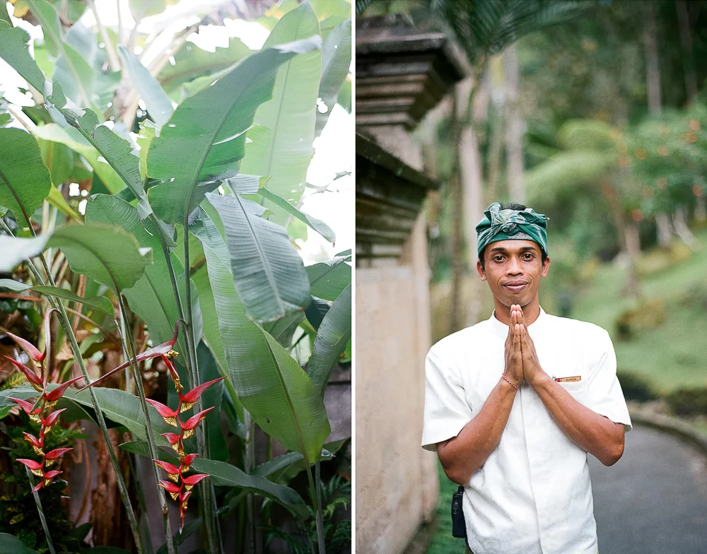 destination-bali-9.jpg