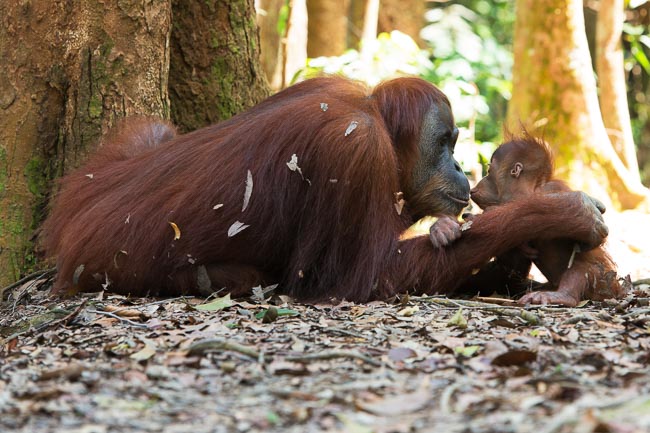 Mother kisses her baby. Image by Gita Defoe for Photographers Without Borders.