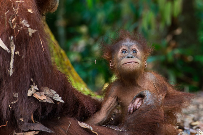 Baby safe in mother's arms. Image by Gita Defoe for Photographers Without Borders.