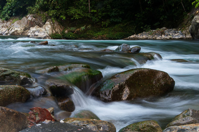 River running through Gunung Leuser. Image by Gita Defoe for Photographers Without Borders.