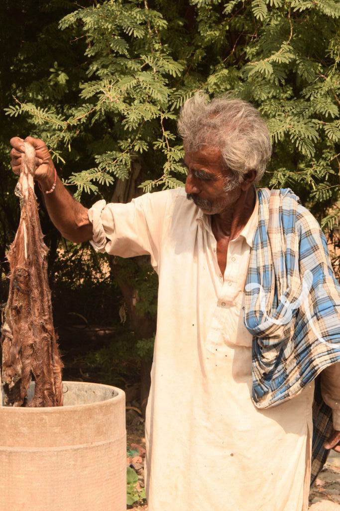 Soaking-process---Removal-of-Hair.jpg