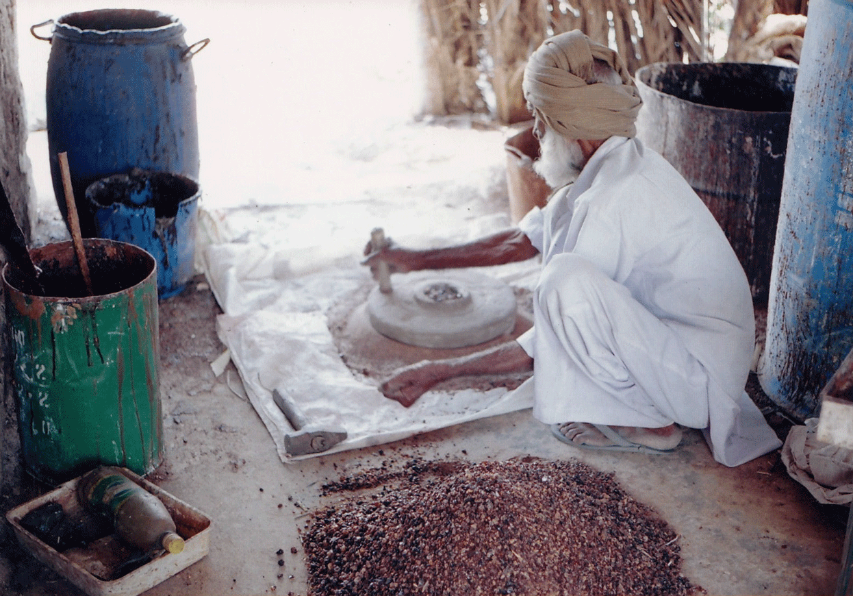 Gum extracted from the Acacia plant is ground and forms one of the raw materials used in the printing process