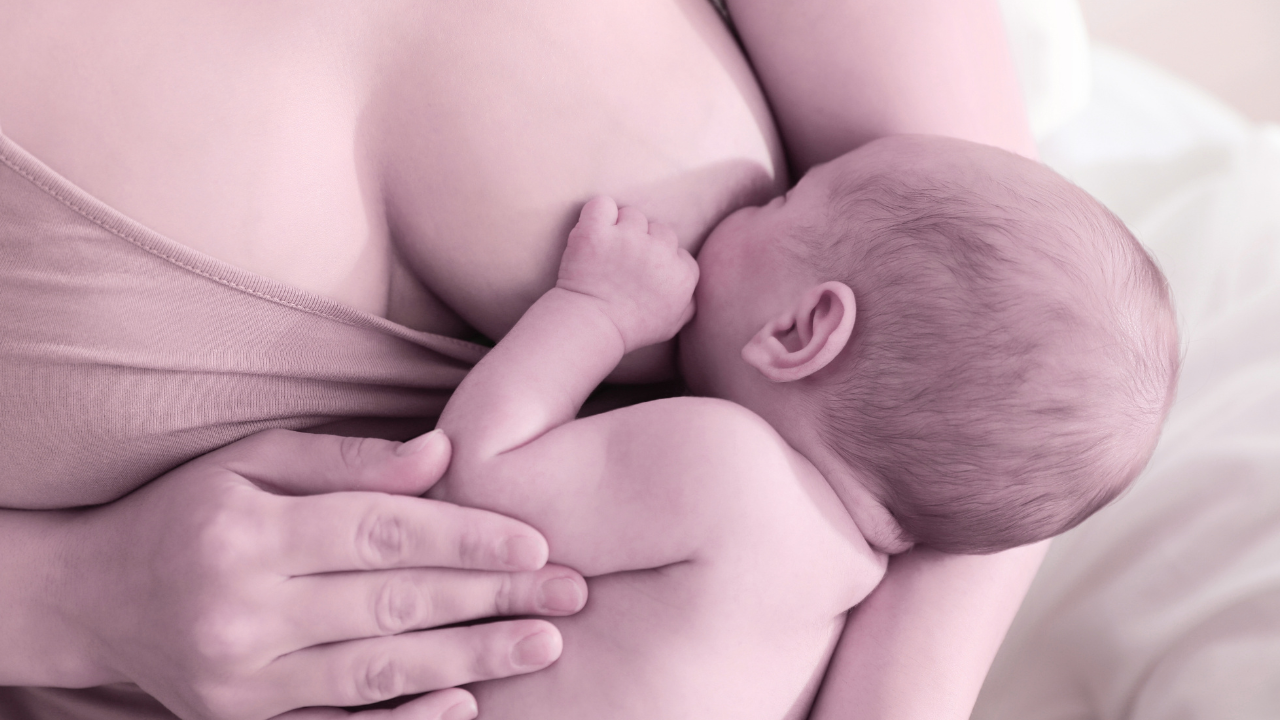 Ammevippen-den lille store bevegelsen