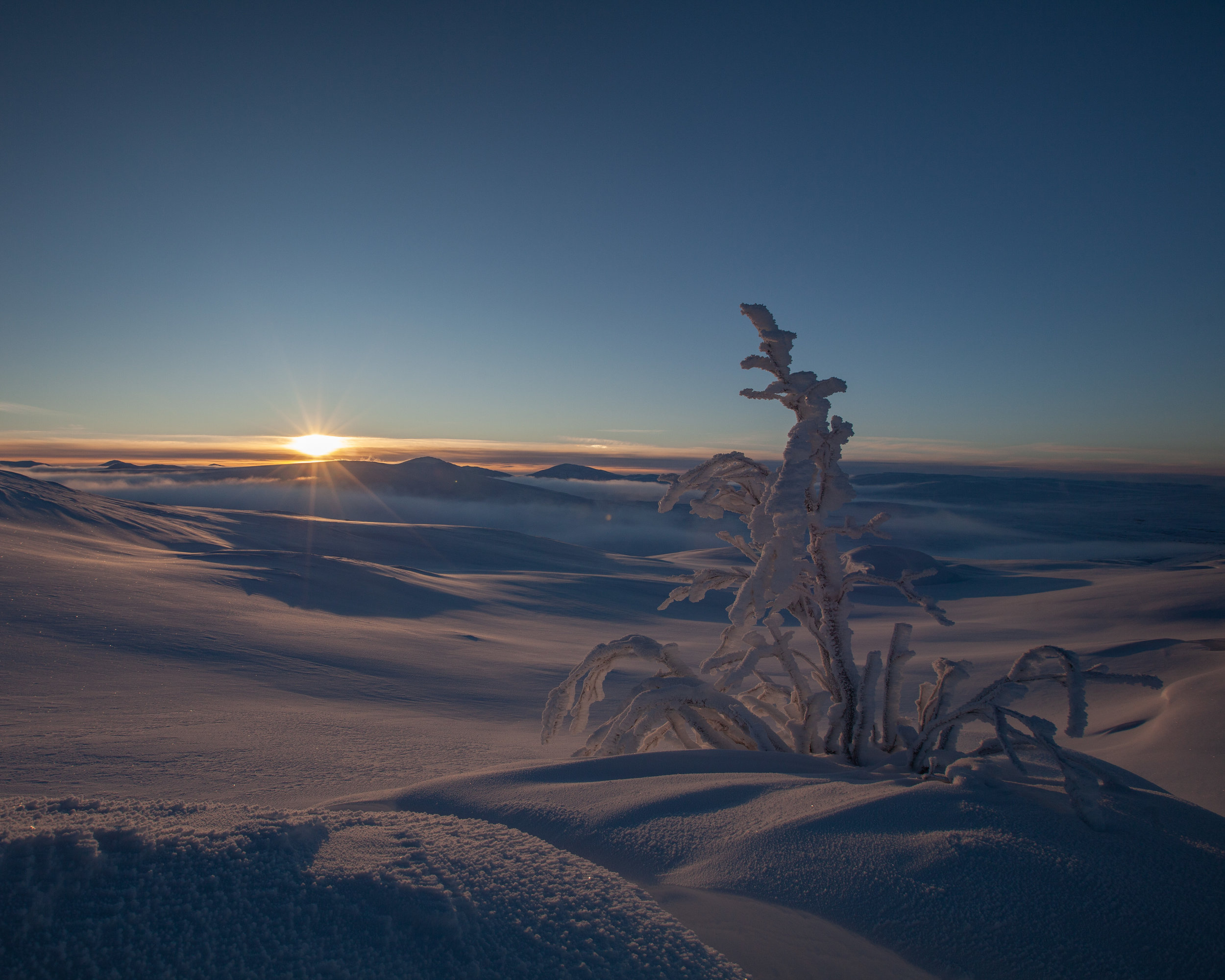 God jul!
