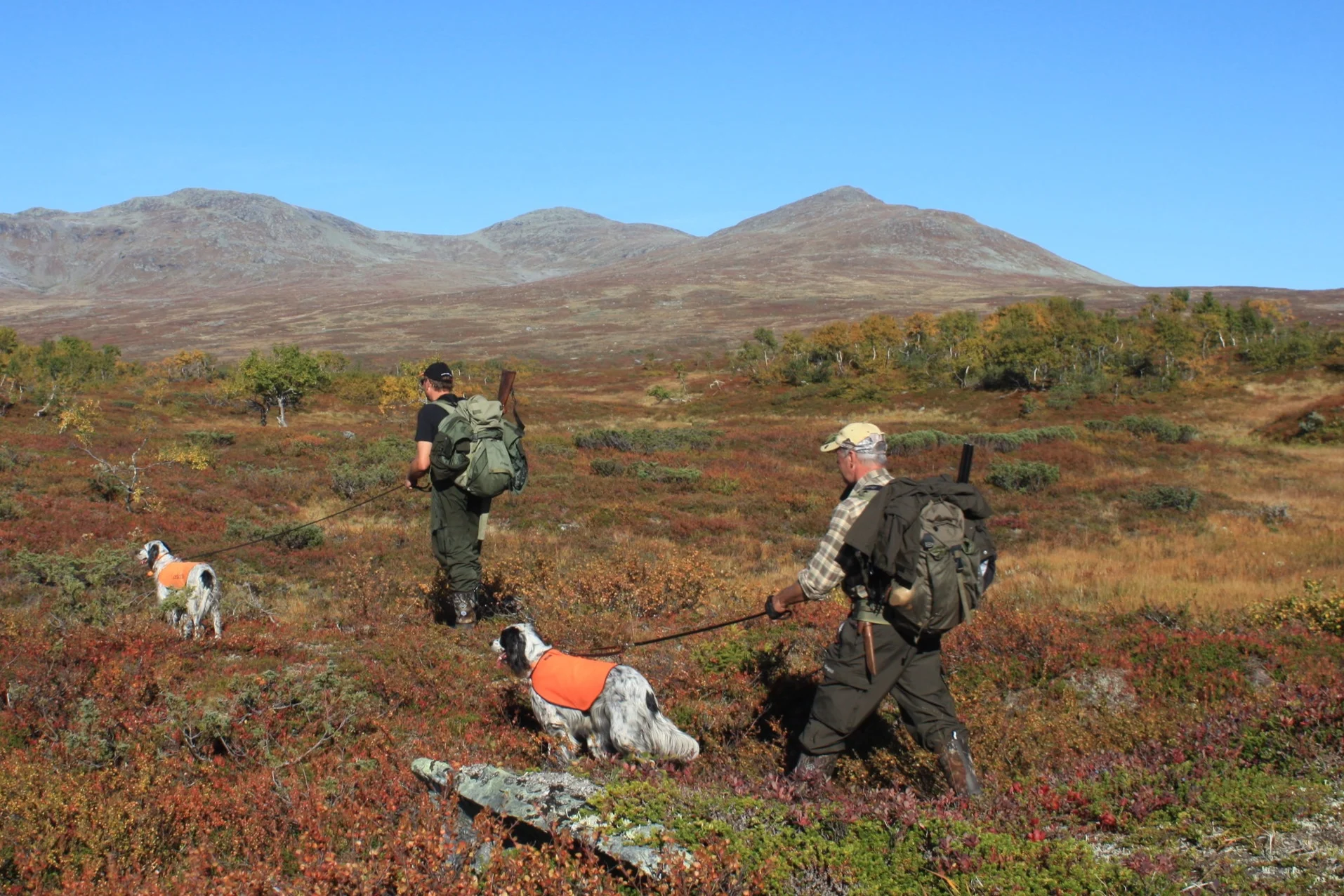 Kunngjøring av fjellstyrevedtak – Fangstbegrensninger for småviltjakta 2019/2020