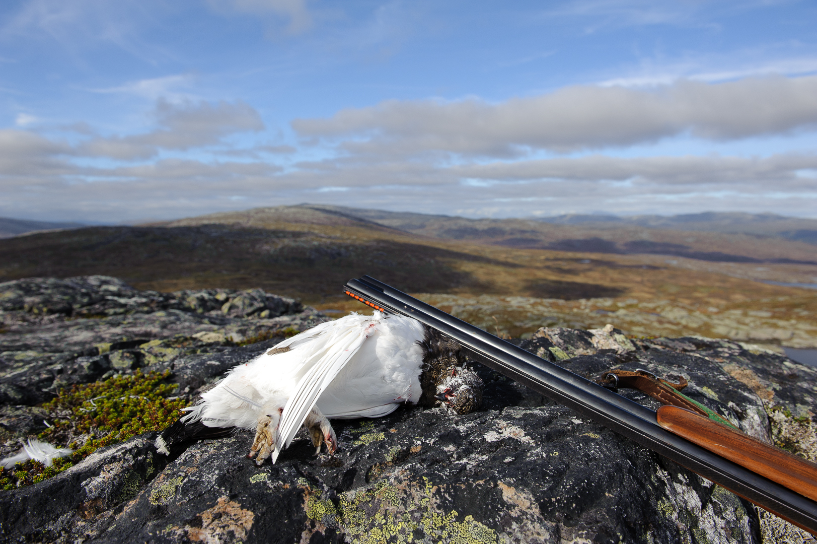 Begrensninger i jaktkortsalget