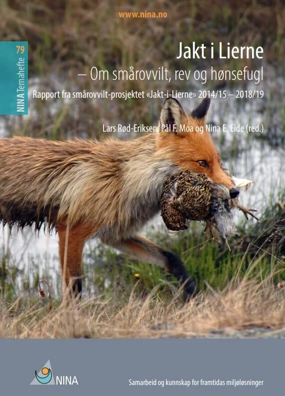 Fjernet slakteavfall, jaktet smårovvilt og fikk mer hønsefugl.